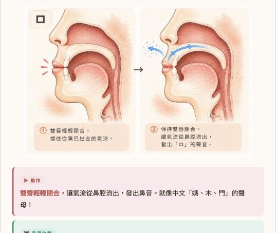 子音發音示意圖 氣流路徑解剖圖實際畫面